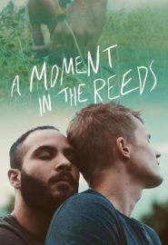 دانلود فیلم A Moment in the Reeds 2017