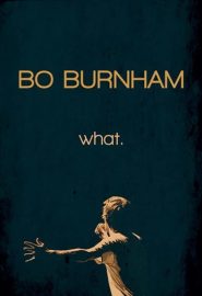 دانلود فیلم Bo Burnham: what. 2013