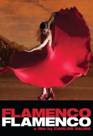 دانلود فیلم Flamenco Flamenco 2010