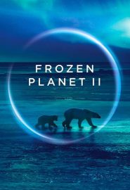 دانلود مستند Frozen Planet II