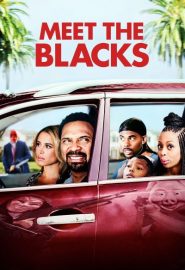 دانلود فیلم Meet the Blacks 2016