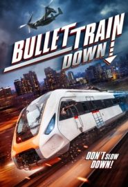 دانلود فیلم Bullet Train Down 2022