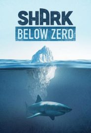 دانلود فیلم Shark Below Zero 2023
