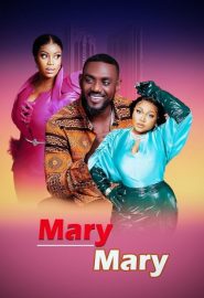 دانلود فیلم Mary Mary 2023