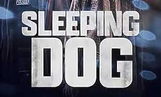 دانلود سریال Sleeping Dog