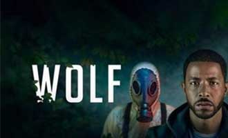 دانلود سریال Wolf