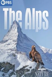 دانلود سریال The Alps