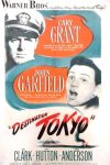 دانلود فیلم Destination Tokyo 1943
