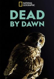 دانلود سریال Dead by Dawn