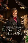 دانلود مستند Fantastic Beasts: A Natural History 2022