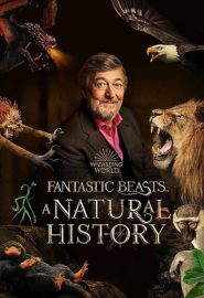دانلود مستند Fantastic Beasts: A Natural History 2022