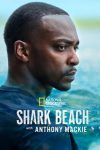 دانلود فیلم Shark Beach with Anthony Mackie 2024