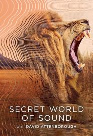 دانلود مستند Secret World of Sound with David Attenborough