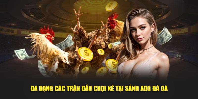 Đa dạng các trận đấu chọi kê tại sảnh AOG đá gà